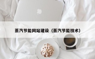 甘肃蒸汽节能网站建设（蒸汽节能技术）
